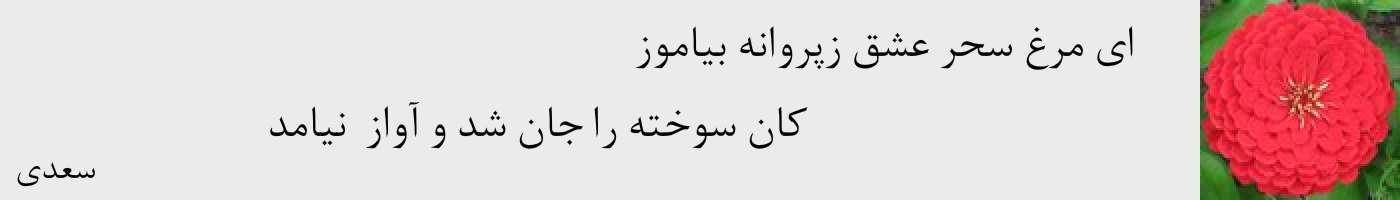 short poem