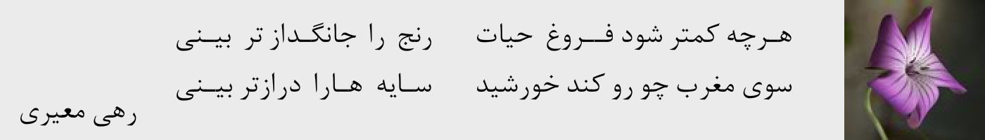 short poem