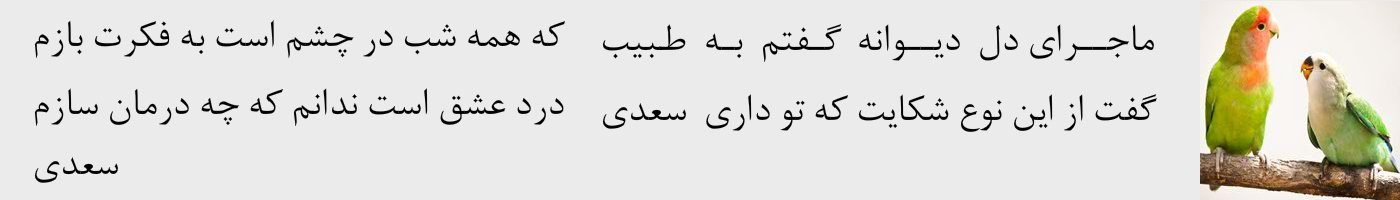 short poem